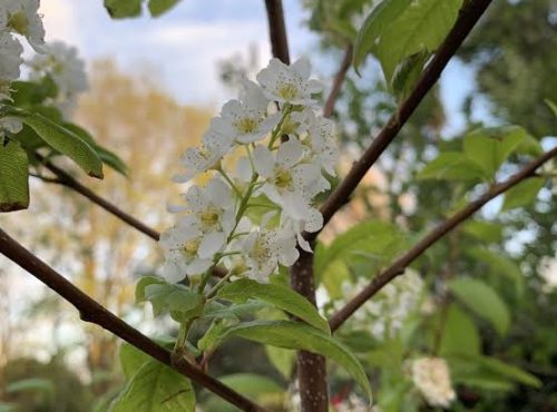 images (71)